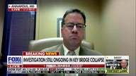 Baltimore bridge collapse will have a 'substantial' impact on a number of industries: Louis Campion