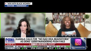 Democrats’ redistricting efforts are ‘failing everywhere,’ Dana Loesch says