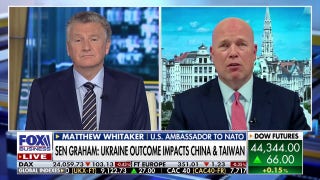 Trump holds the upper hand in meeting with Vladimir Putin, US Ambassador to NATO says