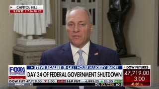 Government shutdown: Congressman unveils GOP priorities for possible deal with Democrats