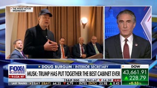 Trump official says he is 'thrilled' about Musk's participation in admin