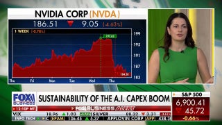 Investors should stick to these 'winners' in the market, expert reveals