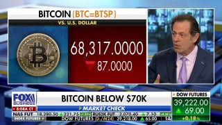 Bitcoin becomes more attractive as government becomes more 'chaotic': Jeff Sica - Fox Business Video