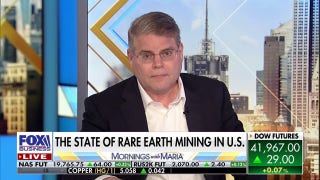 US needs to 'look internally as much as we're looking externally' for critical minerals, CEO says