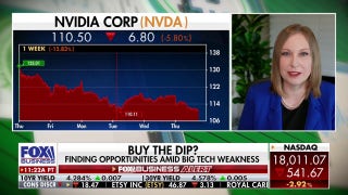 Magnificent Seven volatility means opportunity for investors: Danielle Shay