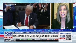 GOP senator: So many American families were harmed in shutdown and ‘for what?’