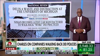 DEI pushback one of ‘biggest’ surprises of 2024, Charles Payne explains - Fox Business Video