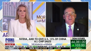 Expert mocks China's 'backdoor' chip allegations: 'Rich with irony'