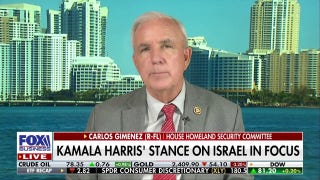 A large number of Democrats are ‘actively supporting Hamas’: Rep. Carlos Gimenez - Fox Business Video