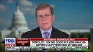 Grover Norquist: Manchin's energy amendment is a 'bad idea'