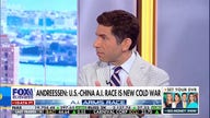 Hedge fund manager explains why he's ruling out Chinese tech in AI race