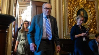 Schumer's offer to end shutdown is 'nonsense' and a 'non-starter,' top Republican senator says