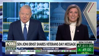 Bipartisan vote a ‘win for the American people’ after Schumer shutdown: Sen. Joni Ernst