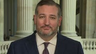 Ted Cruz slams politicization of IRS as 'grotesque abuse of power'