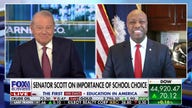 RFK Jr. is going to be a ‘bull in a china shop’ for the Trump admin, Sen. Tim Scott says