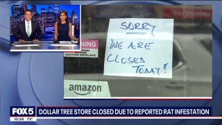 Dollar Tree store in New York closes after reports of alleged rat infestation - Fox Business Video