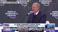 Al Gore claims we've reached a climate apocalypse