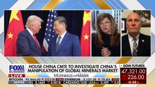 China's control of key rare-earth magnets threatens US national security, congressman warns