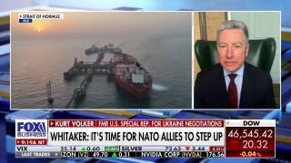 Ex-NATO ambassador highlights alliance's importance