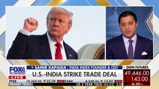 US-India trade deal takes shape as Trump averts shutdown and minerals go strategic