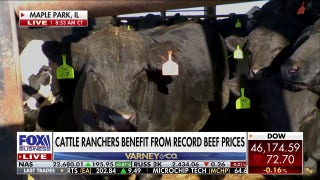 Cattle ranchers benefit from record beef prices