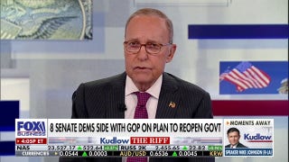 Larry Kudlow: The 'Schumer Shutdown' is so foolish