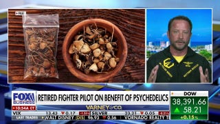 Navy fighter pilot Matthew 'Whiz' Buckley advocates for psychedelics to heal veterans - Fox Business Video