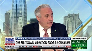 Issue of wildlife trafficking a $20B a year business, Wildlife Conservation Society EVP says