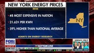 GOP lawmaker casts blame on New York state government for driving up energy costs