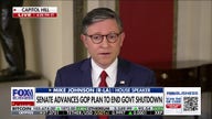 Democrats are proving they're willing to take the country 'hostage' for political stunts: Mike Johnson