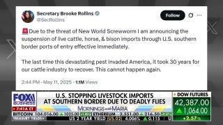 Trump admin suspends livestock imports amid deadly fly threat