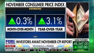 Biden's 'spending spree' is still causing inflation to run hot, economist says