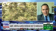 Marijuana legalization is a 'huge mistake': Kevin Sabet