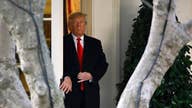 Netflix's skip Trump jokes button