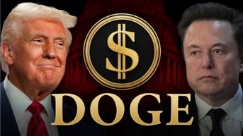 I was a director at the SEC — here's why DOGE really needs a chainsaw - Fox News