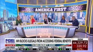 Trump admin removing illegal migrants off welfare programs is ‘common sense’: Charlie Gasparino