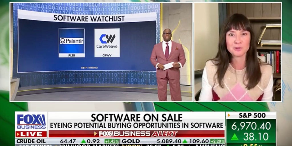 Tech analyst reveals which software stock has ‘best’ earnings report