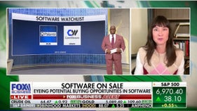 Tech analyst reveals which software stock has ‘best’ earnings report