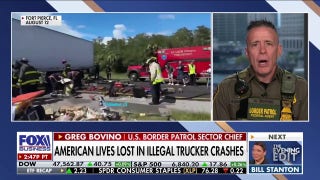 US Border Patrol chief says it is 'like a goose chase' trying to find these people