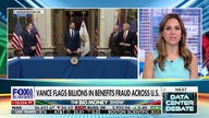 Vance flags billions in benefits fraud across US targets as White House cracks down on abuse