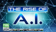 Is it time for an artificial intelligence bill of rights?