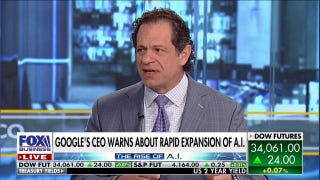 AI's ability to destroy jobs is an ominous sign: Jeff Sica  - Fox Business Video