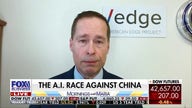 Voters see that China is ‘aggressively’ executing a plan to become: American Edge Project CEO