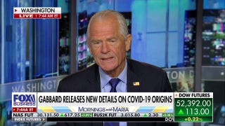 Navarro demands Congress subpoena Fauci following Tulsi Gabbard's COVID file release