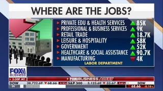 Problems in new jobs report as government hiring picks up - Fox Business Video
