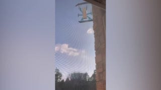 Amazon drone hits apartment building