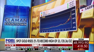 Chief economist warns US is nearing 'financial crisis' in President Trump's economy