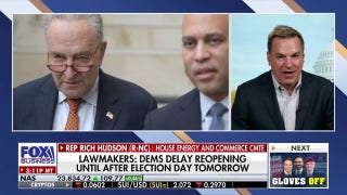 GOP congressman says only reason government is shut down is because of two Dems 'playing politics'