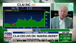 AI is on the tip of the tongue of every CEO: Thomas Siebel - Fox Business Video