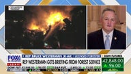 Wildfires in California are a 'different animal,' lawmaker says